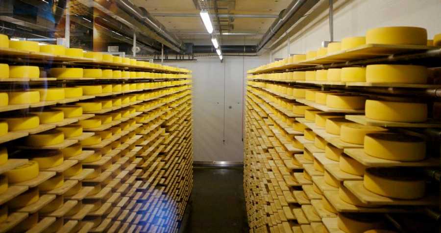 Aging of the cheese